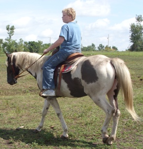 blueride.jpg