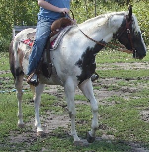 blueride3.jpg