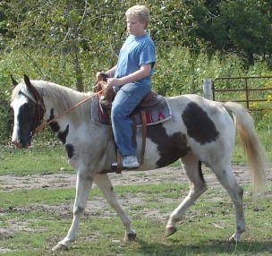 blueride5.jpg