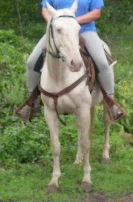 ivride4.jpg