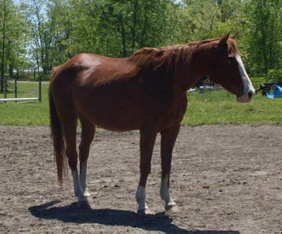 may091.jpg