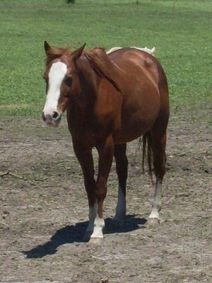 may097.jpg