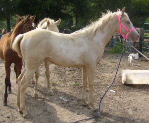 sparklesep2007.jpg